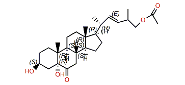 Echrebsteroid D